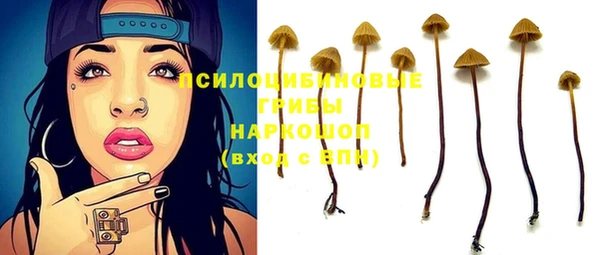 apvp Баксан